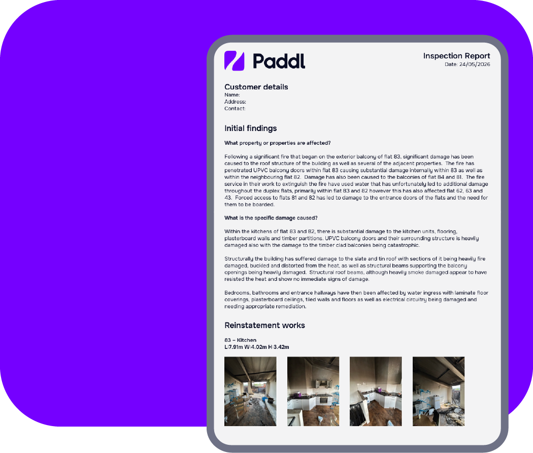 Professional damage reporting